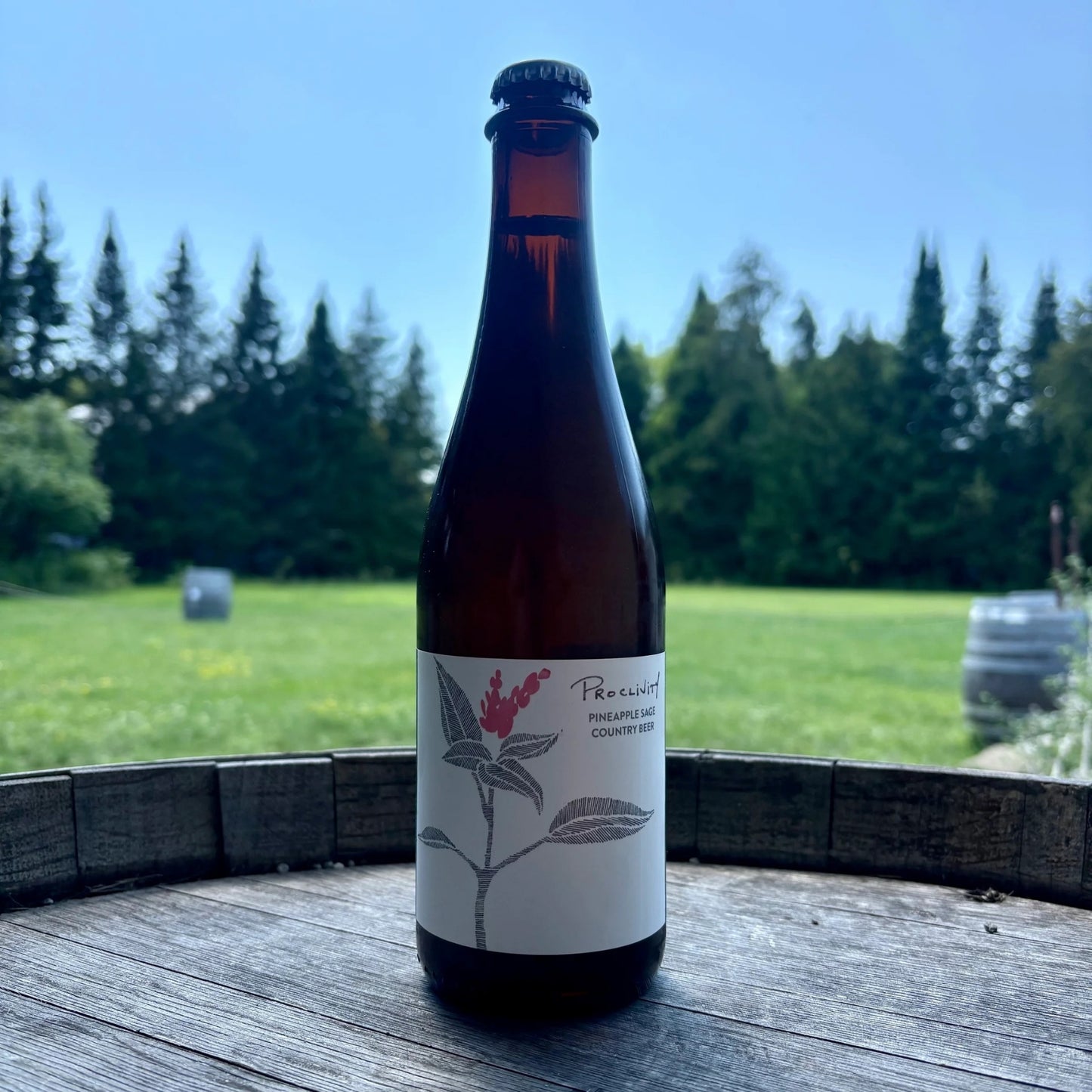 Proclivity (Blend #7) - 5.4%