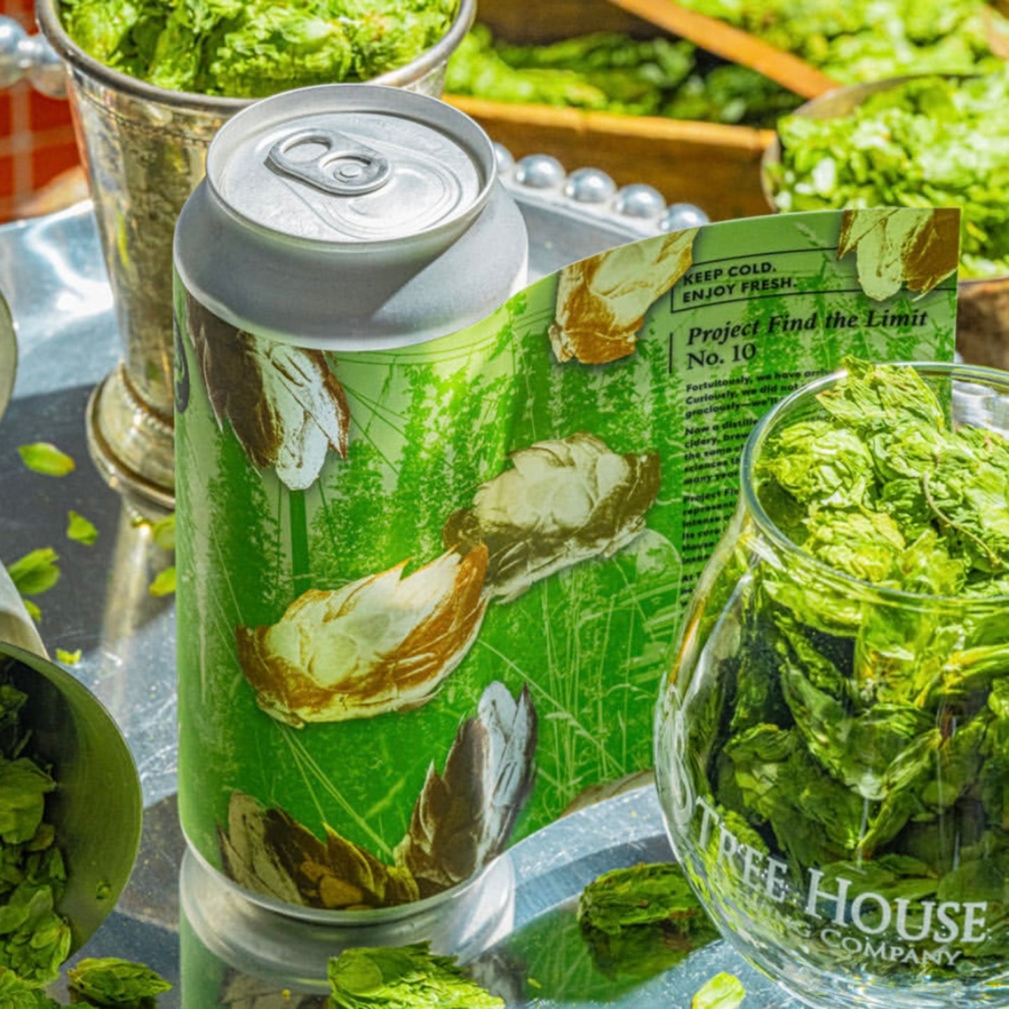 Project Find the Limit No. 10 - 9%