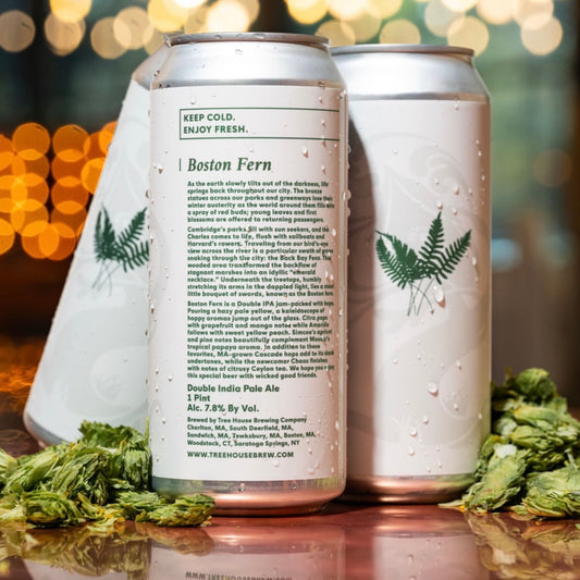 Boston Fern - 7.8% (PRE-ORDER)