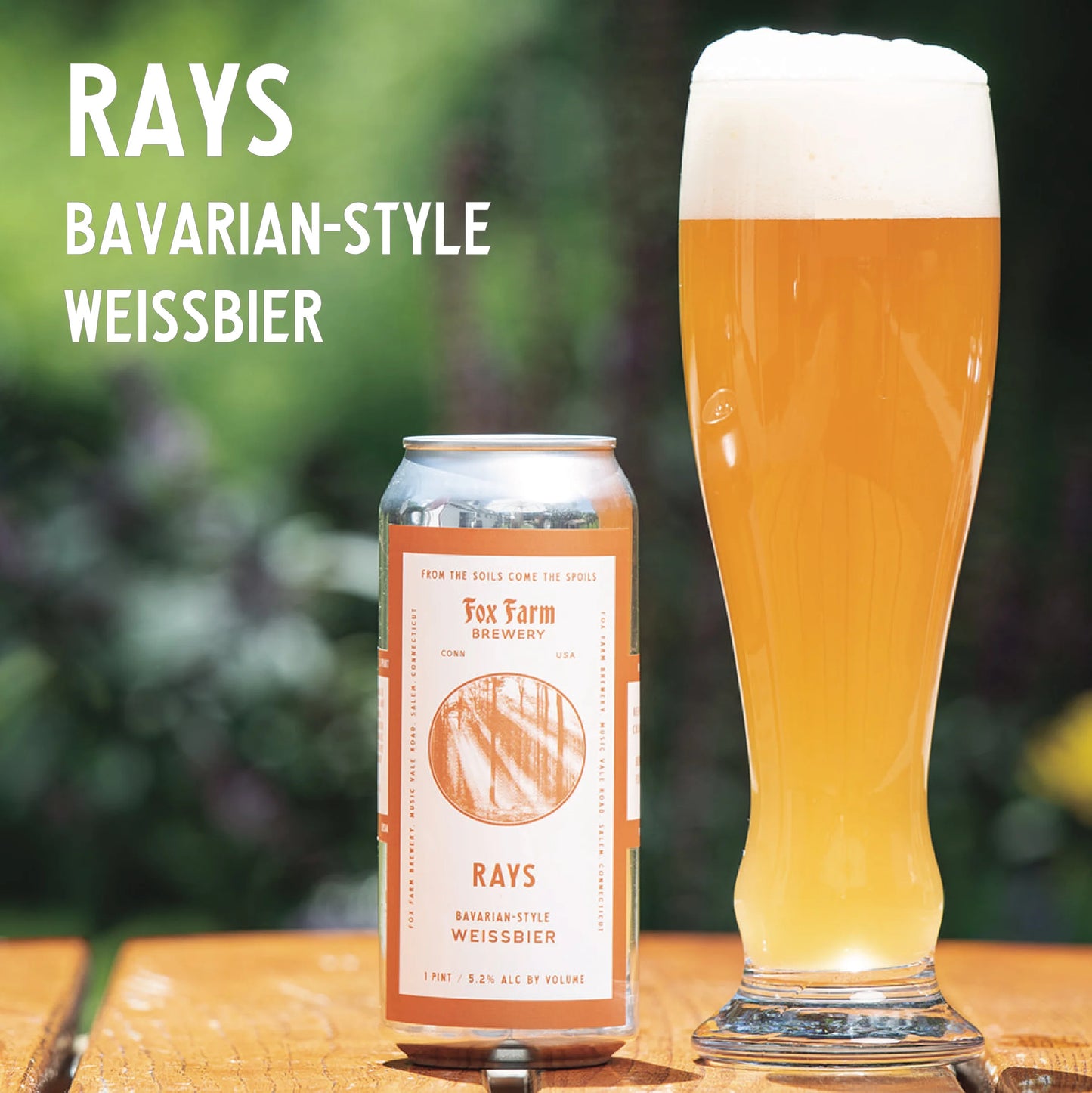 Rays - 5.2%